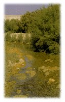 The spot where Loard JESUS was Baptized by Jhon the baptiset