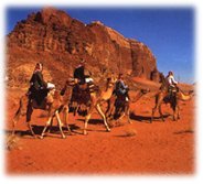 Wadi Rum trasportation